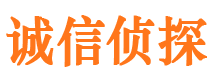 邵武市调查公司